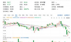 海外3D打印概念股ETF-ARK市值只有5300多万美元