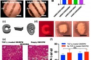 突破性生物3D打印技术：高细胞密度生物墨水实现多组织精准构建