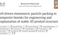 《Bioact. Mater.》：高机械稳定性的3D打印生物水凝胶