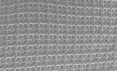 多伦多大学借助AI和3D打印技术为航空航天开发既坚固又轻盈的纳米结构材料